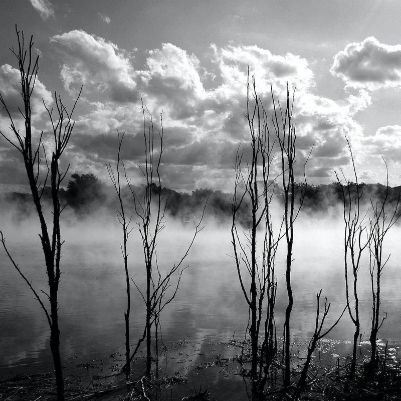 Misty Lake - Rotorua New Zealand