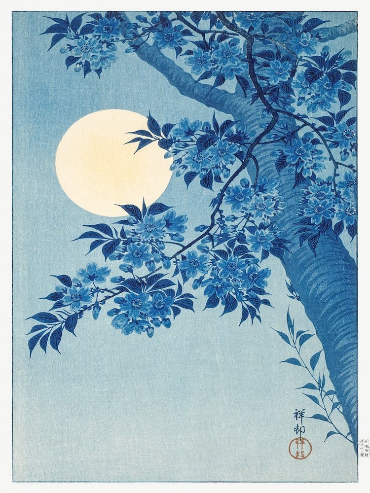 Blossoming Cherry On A Moonlit Night, Ohara Koson