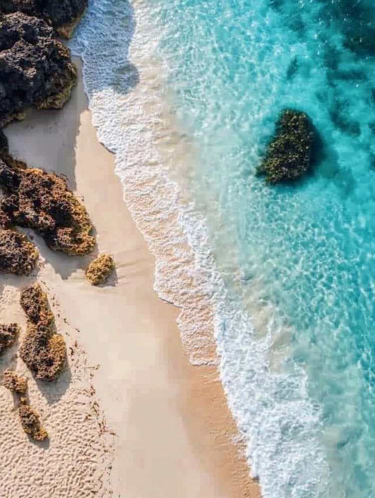 Aerial View Of A Beach 31