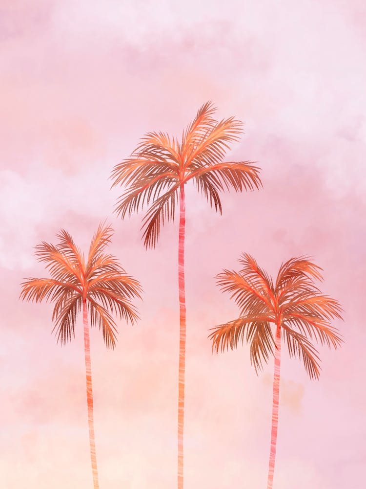 Sunset Palm Trees