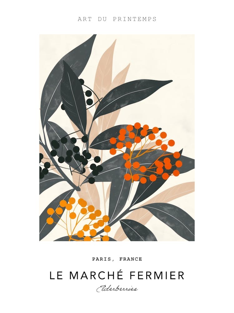 Elderberries Le Marche Fermier Poster 3
