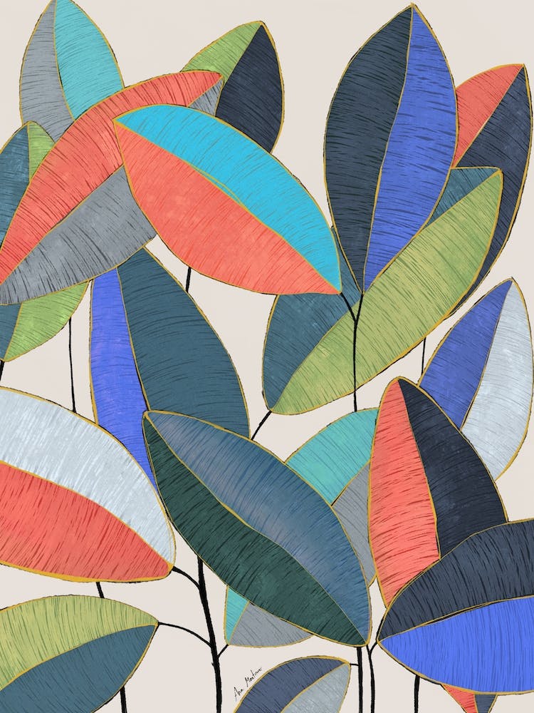 Ficus Leaves