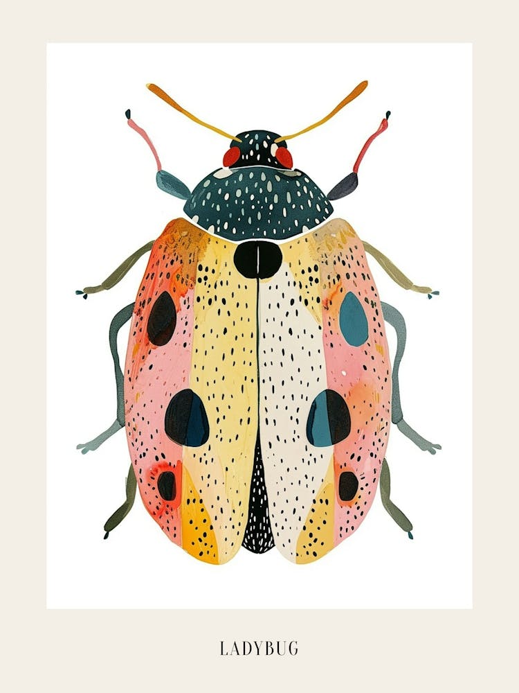 Colourful Insect Illustration Ladybug 20 Poster
