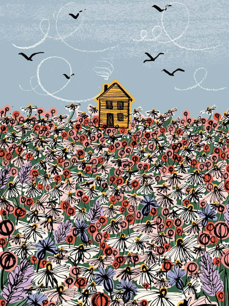 Log Cabin Wildflower Meadow