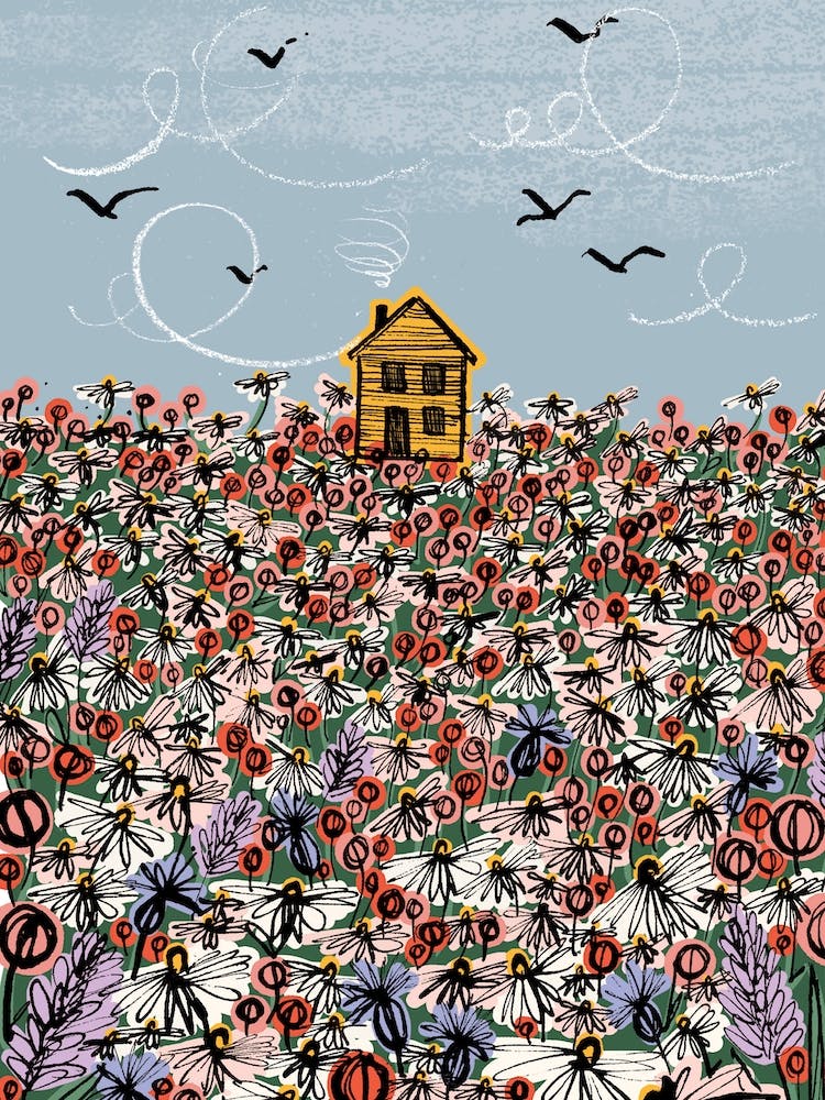 Log Cabin Wildflower Meadow