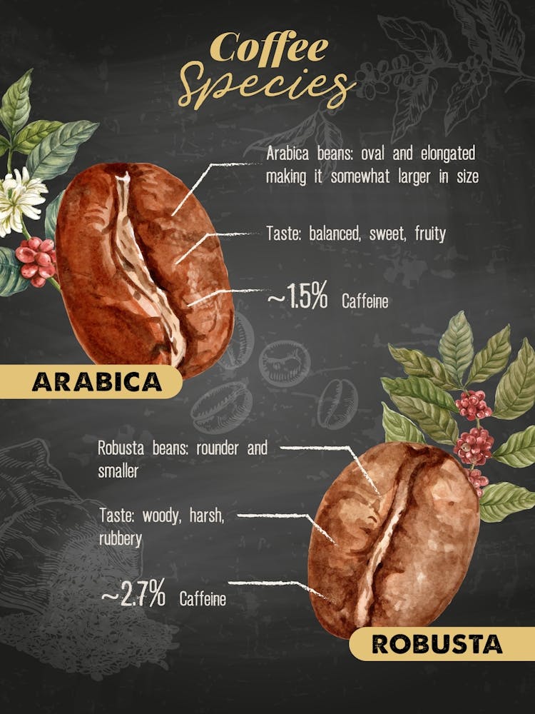 Coffee Species Poster — coffee poster, kitchen art print