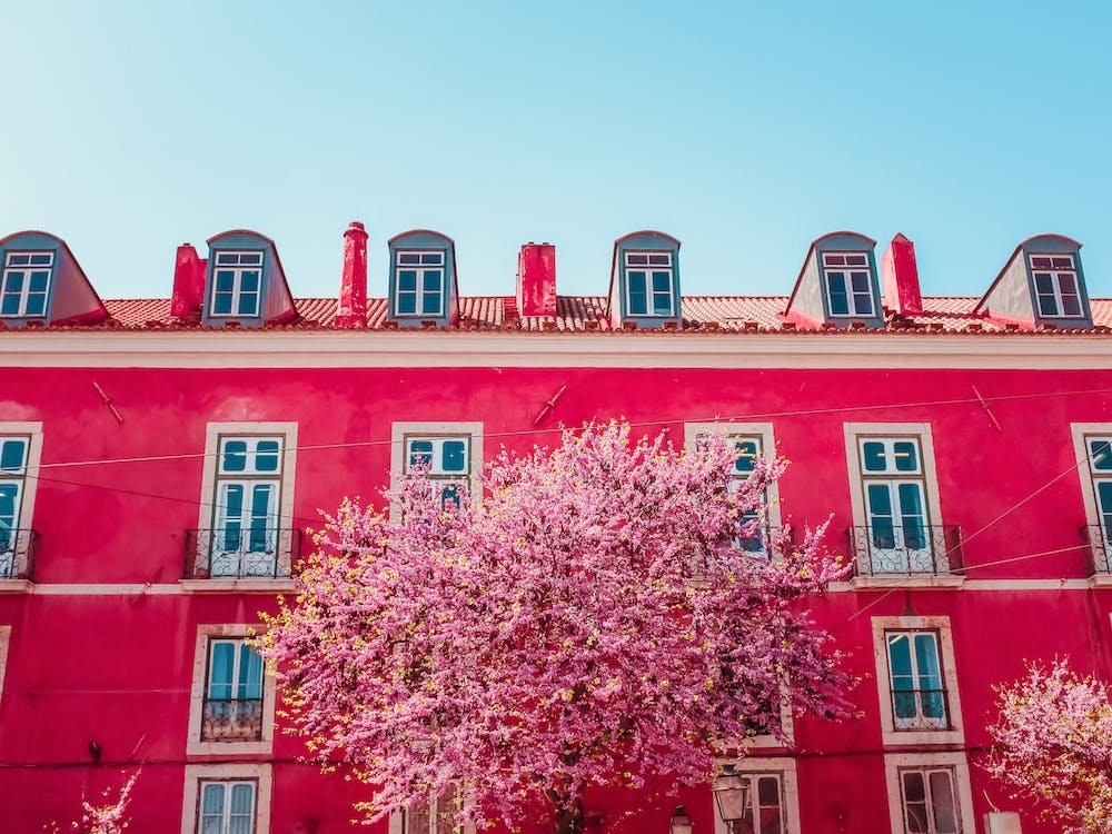 Red And Flowers, Portugal
