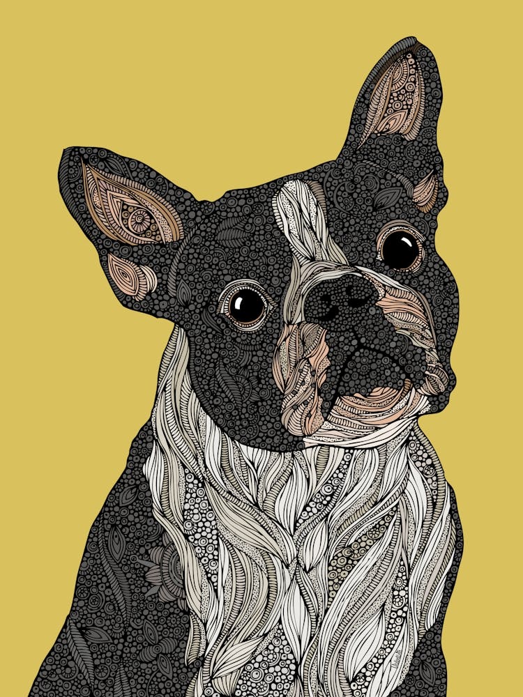 Barky the Boston Terrier