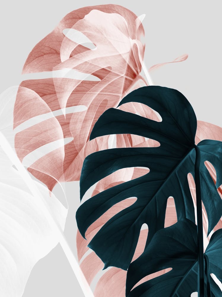 Monstera Leaves Pink Green Metallic_2058429