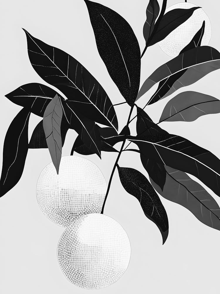 Black And White Oranges 1