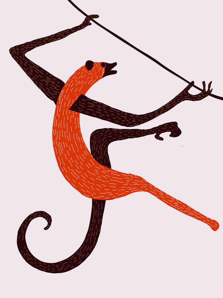 Monkey On A Vine