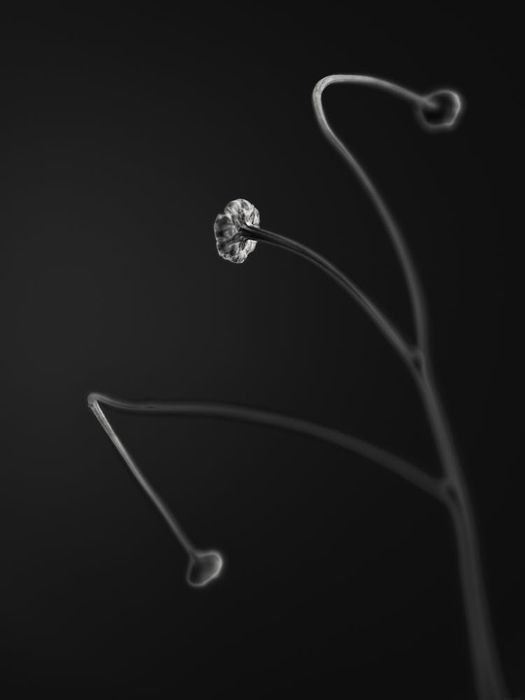 In light of current events VII