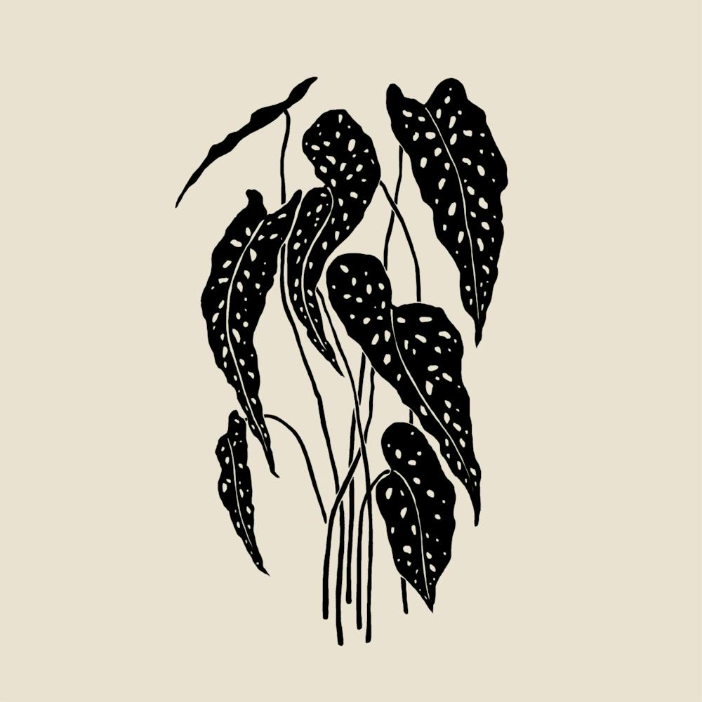 Monochromatic Foliage II