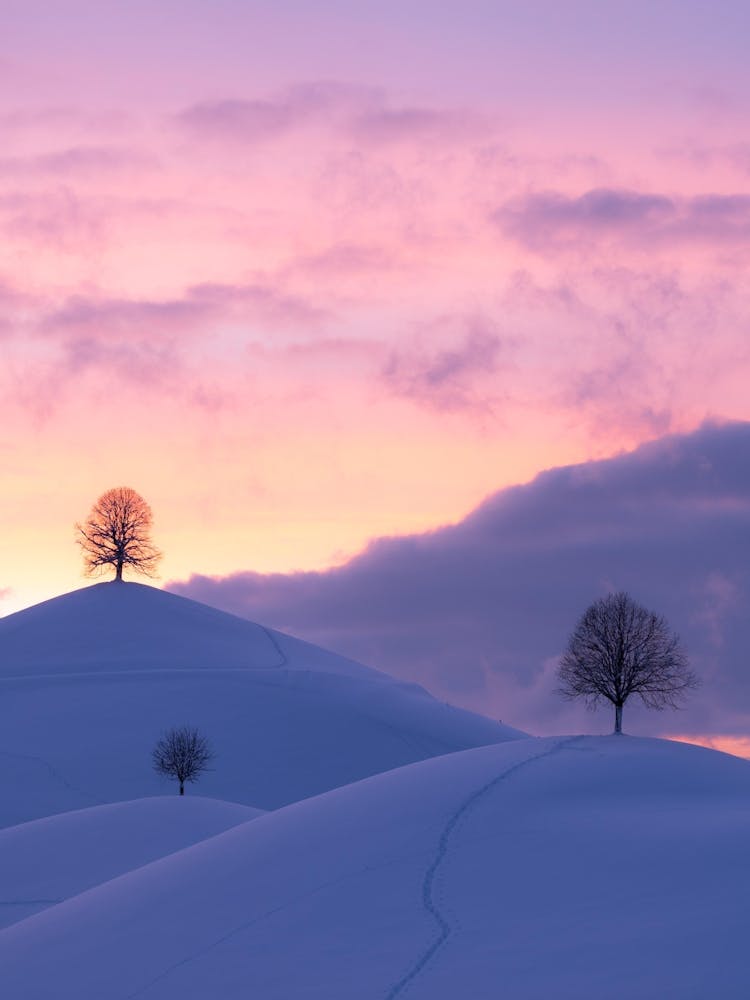 Sunset Over A Snowy Hill