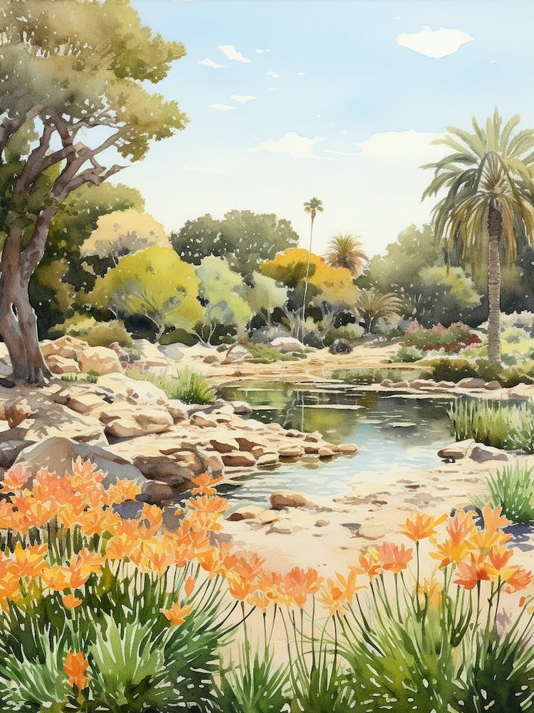 San Diego Botanic Garden Usa Watercolour 