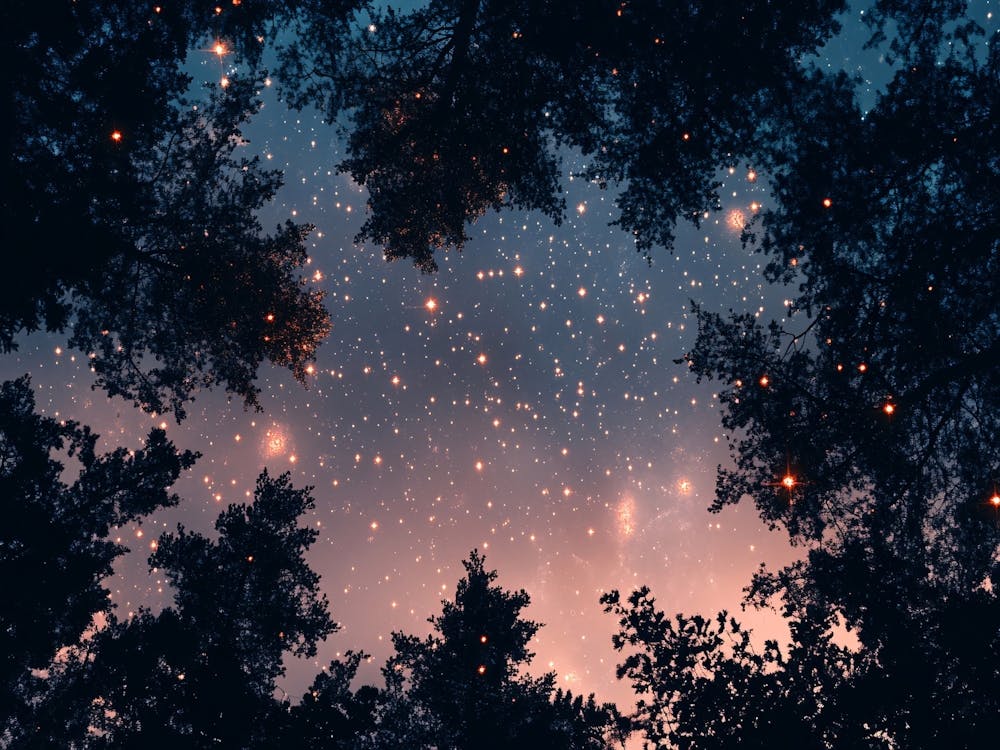 Stars In The Sky