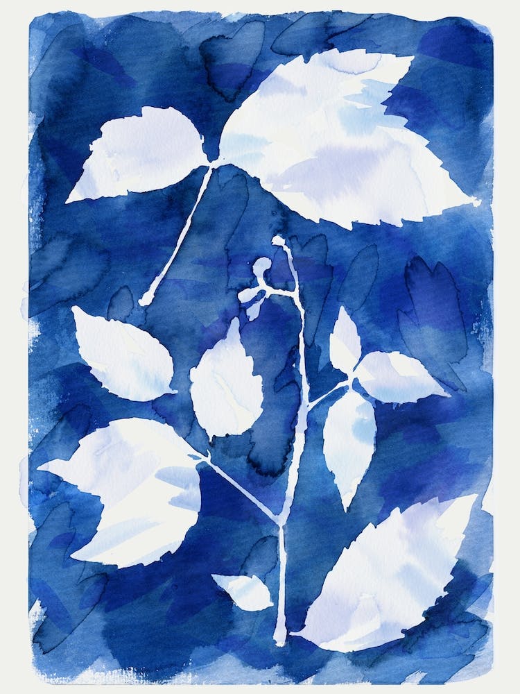 Cyanotype Botanical 1