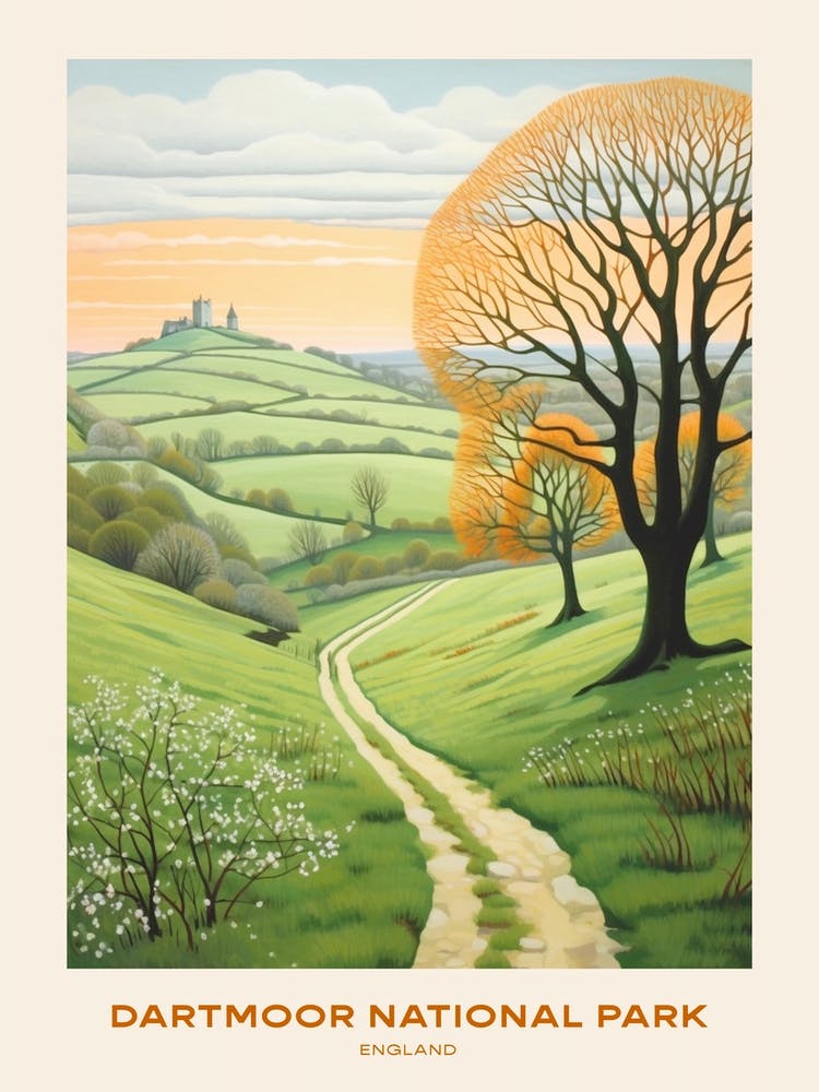 Dartmoor National Park England 1 Hike Poster