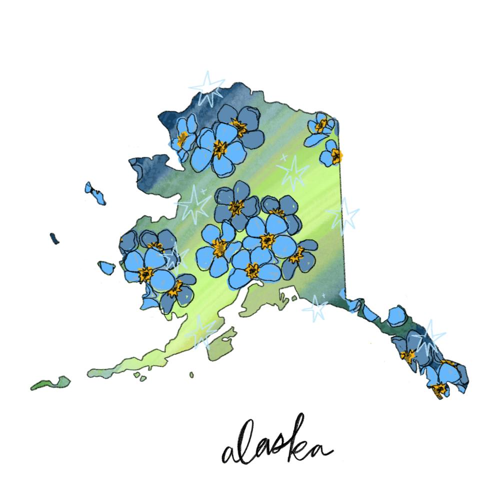 Alaska - Illustrated States