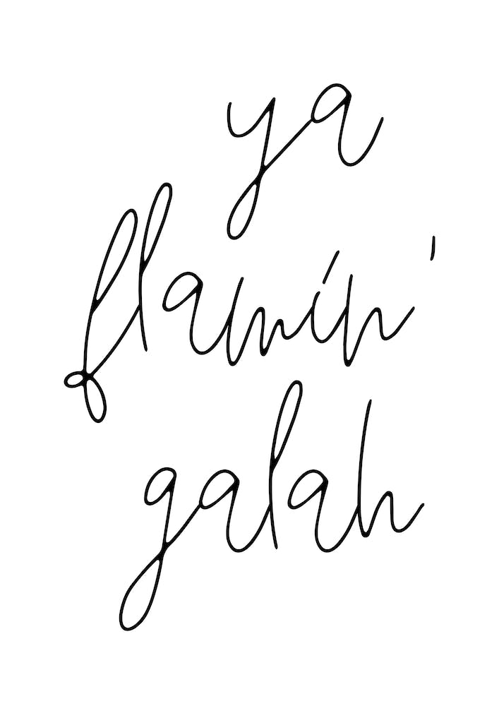 Ya Flamin Galah