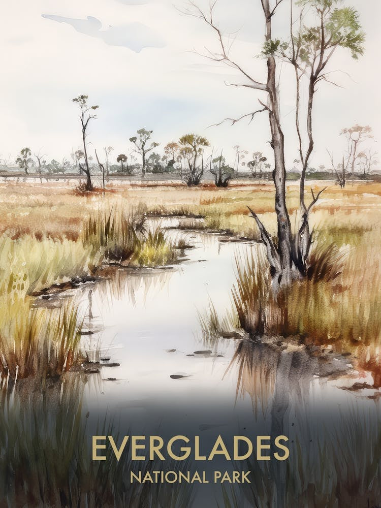 Everglades National Park Watercolour Vintage Travel Poster 2