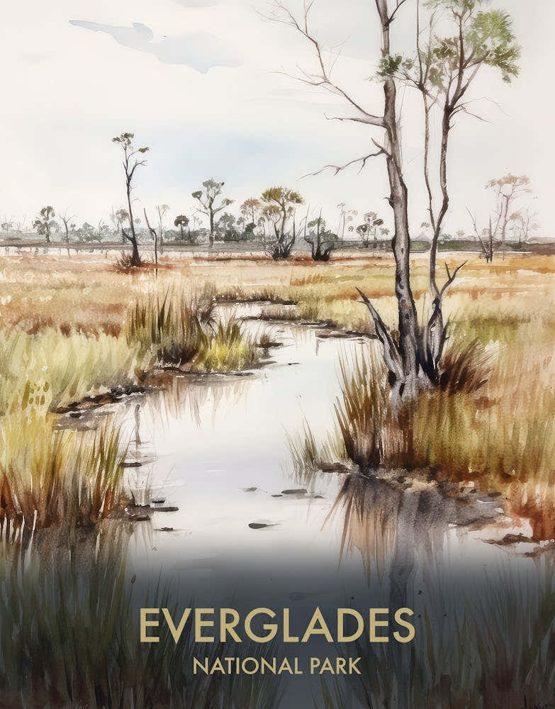 Everglades National Park Watercolour Vintage Travel Poster 2
