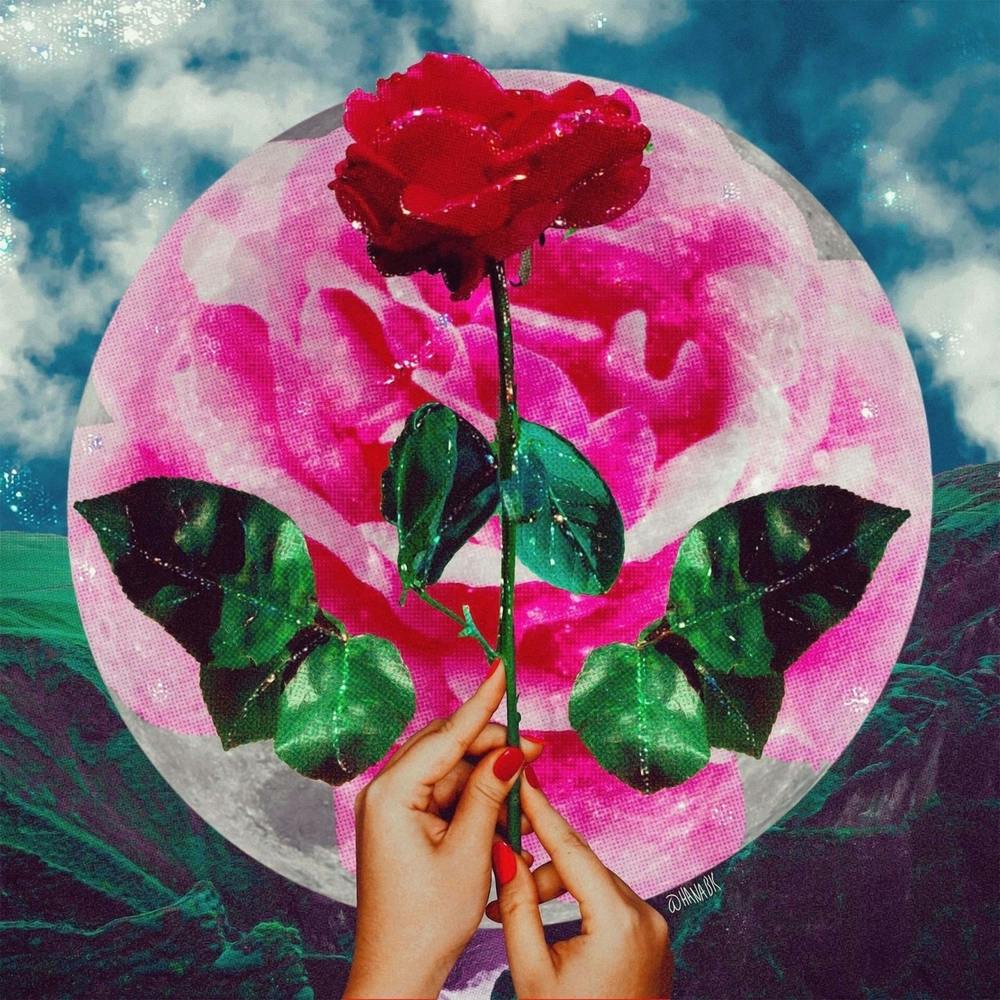 English Rose And Moon Collage Square