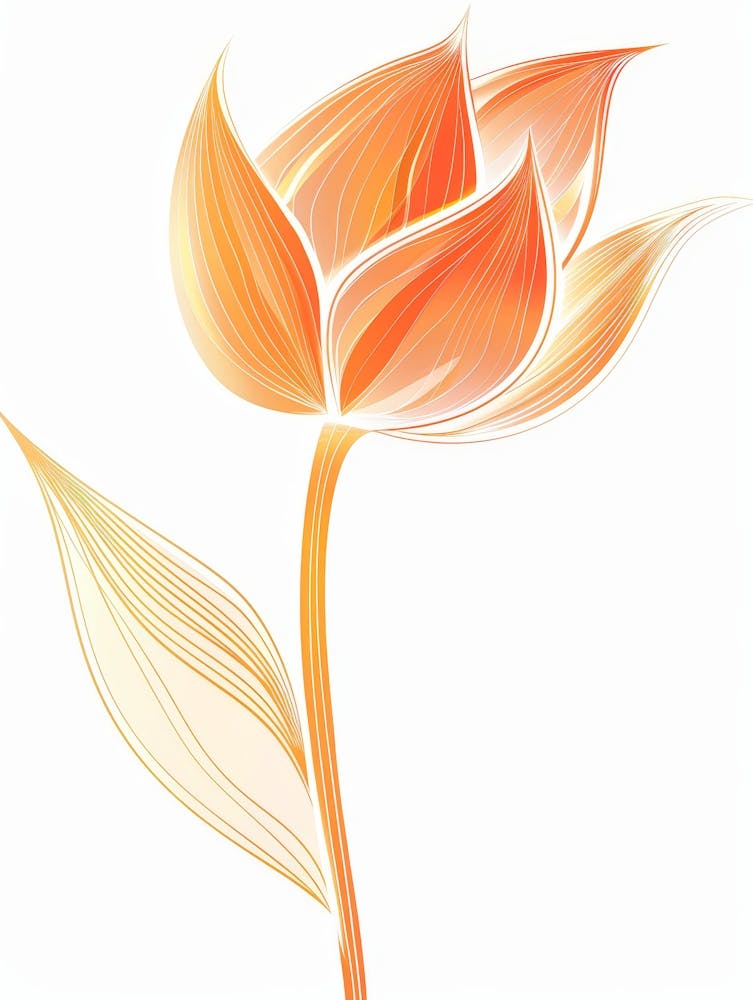 Orange Tulip