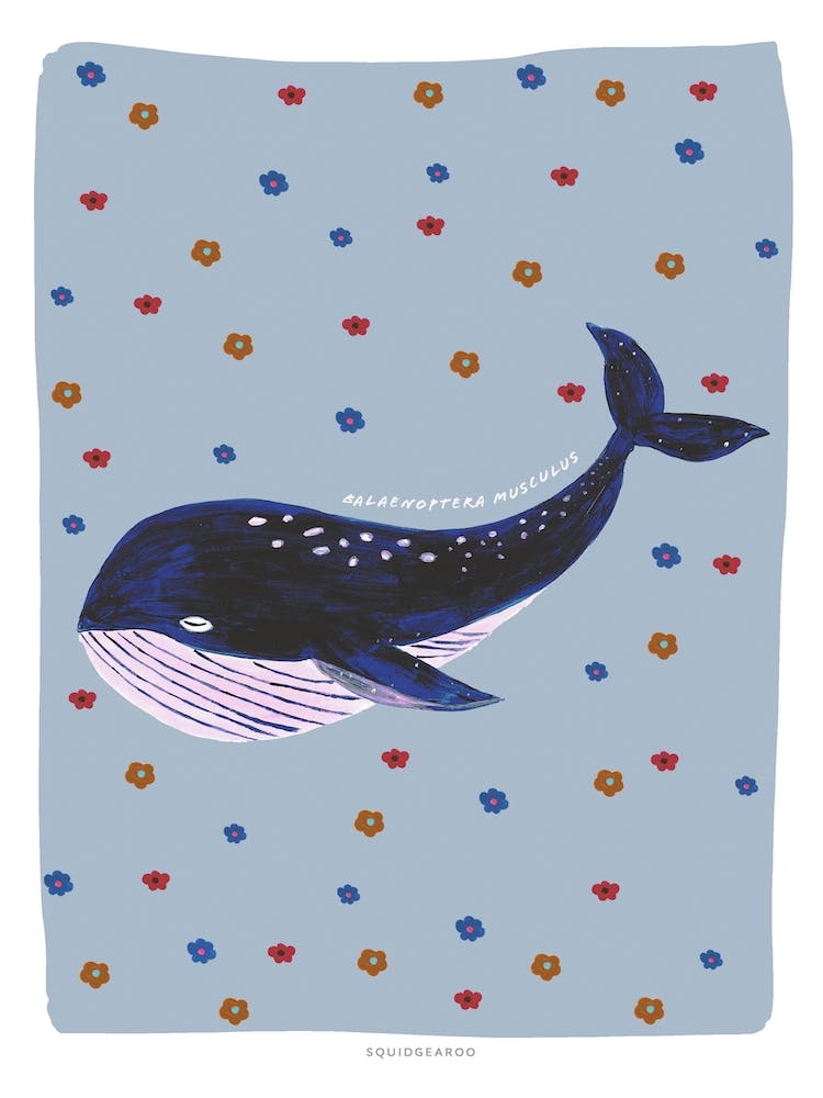 Baleine Rétro en Bleu