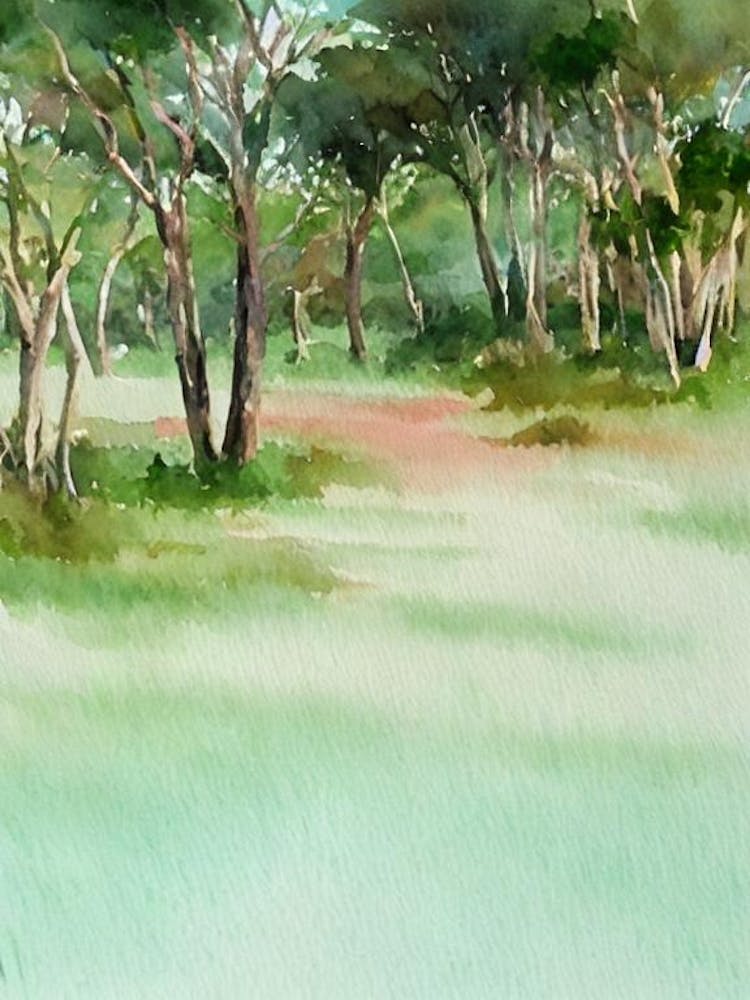 Addo Elephant National Park South Africa Water Colour Poster