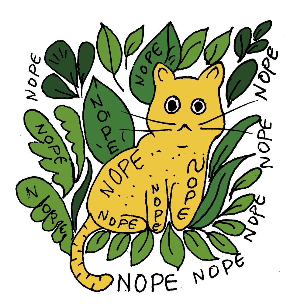 Nope Nope Cat Is Clear To Say Nope