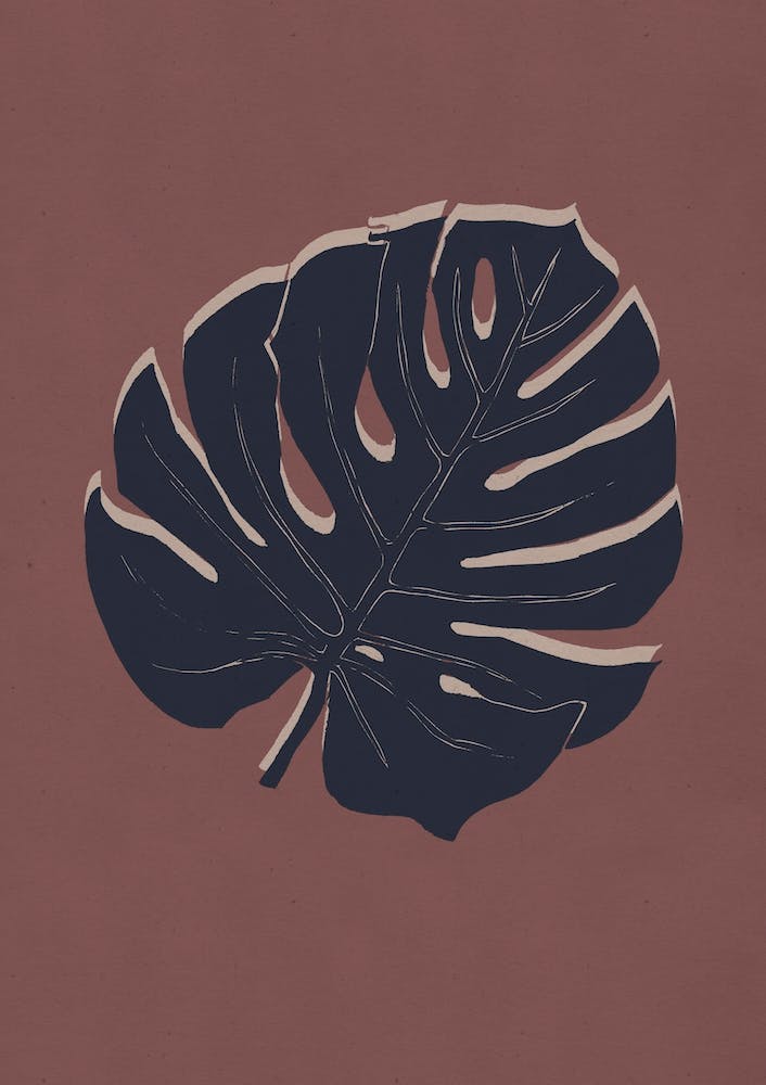 Monstera Brick and night