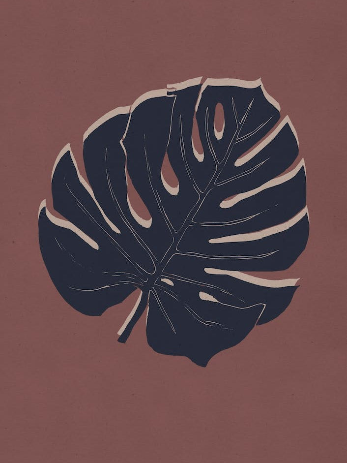 Monstera Brick and night