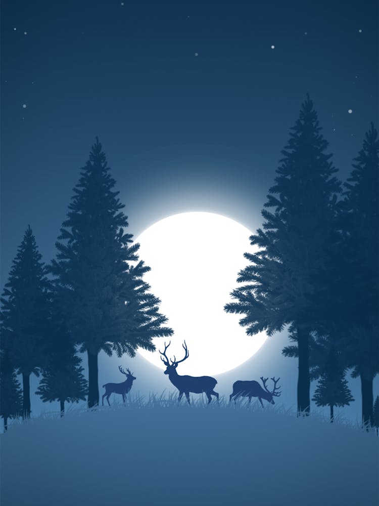 Deer In The Forest