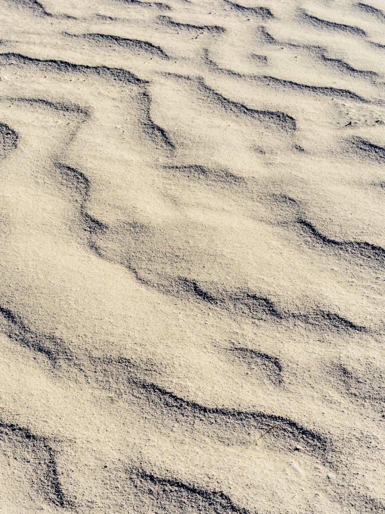 Sand Dune pattern texture