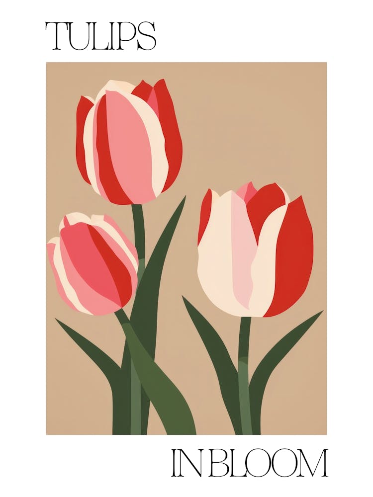 Tulips In Bloom Flowers Bold Illustration 3