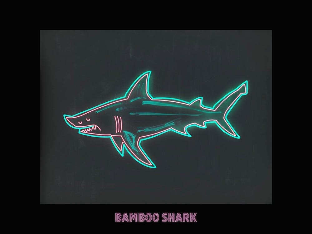 Neon Pink Aqua Bamboo Shark Poster 6