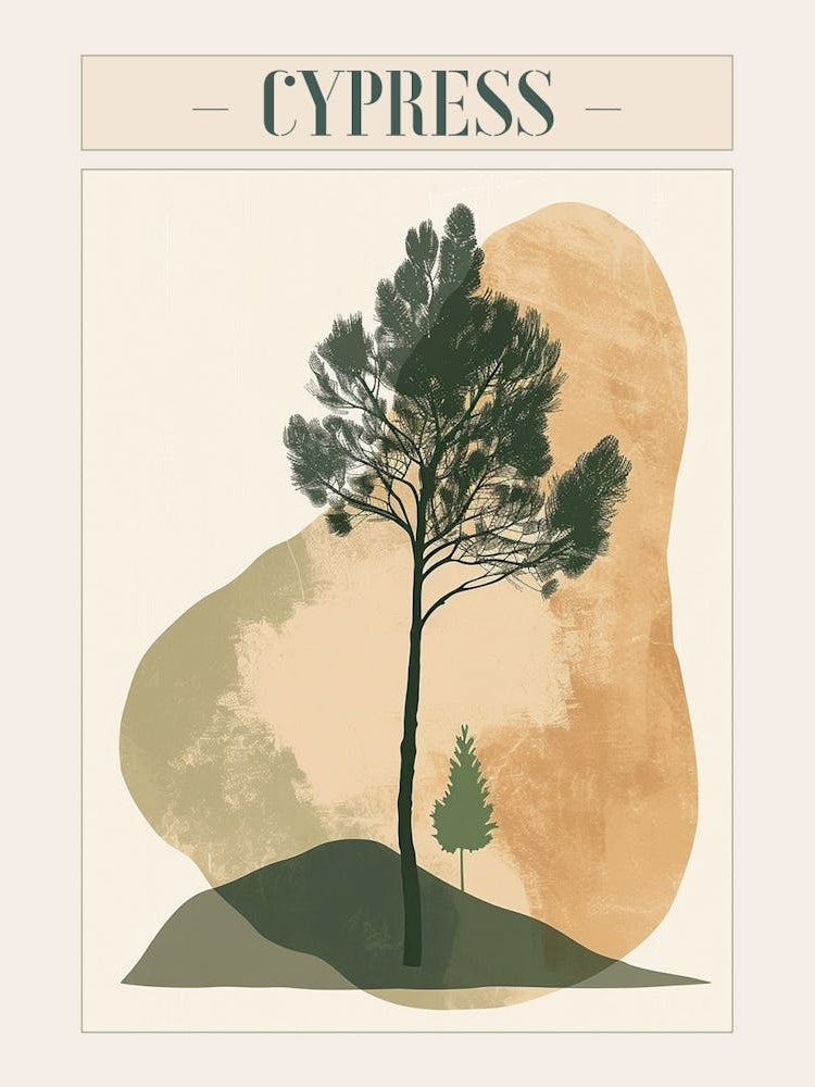 Cypress Tree Minimal Japandi Illustration 3 Poster