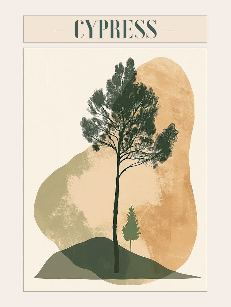 Cypress Tree Minimal Japandi Illustration 3 Poster