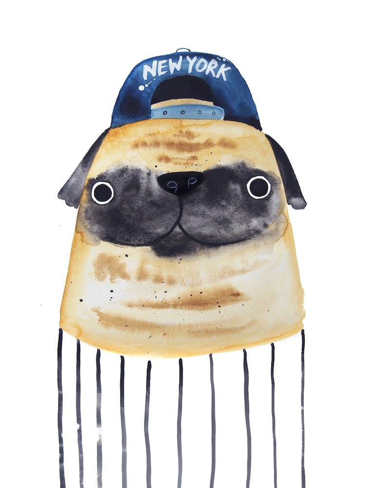 New York Pug