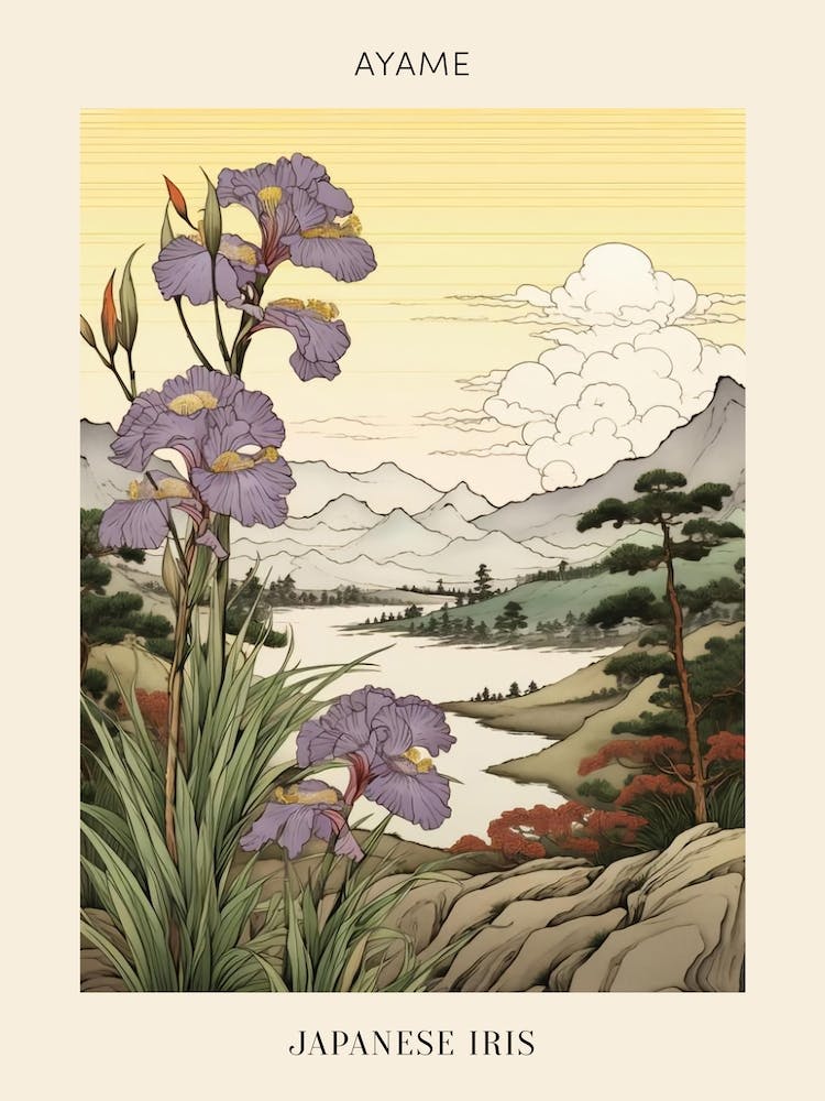 Ayame Japanese Iris 1 Japanese Botanical Illustration Poster