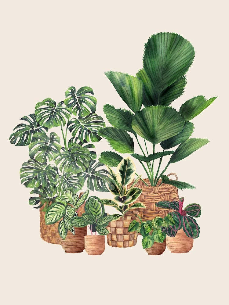 Plant Lovers Friends