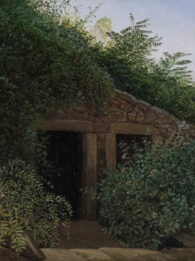 Cottage In The Woods