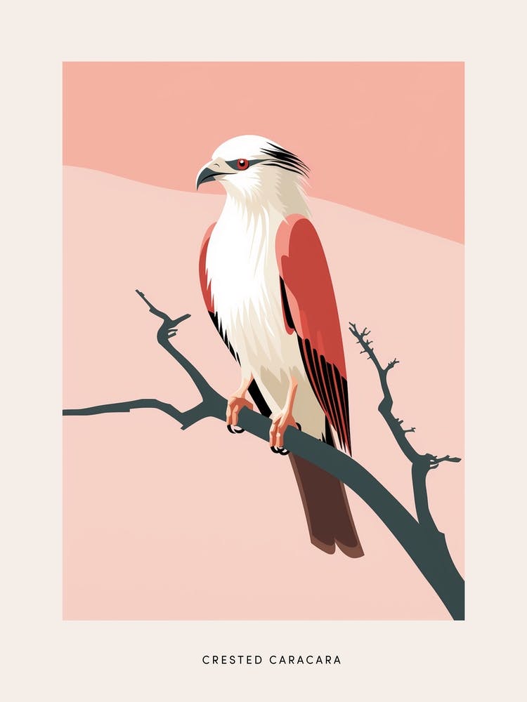 Minimalist Crested Caracara 2 Bird Poster
