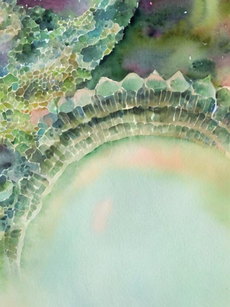 Helicoprion Storybook Watercolour