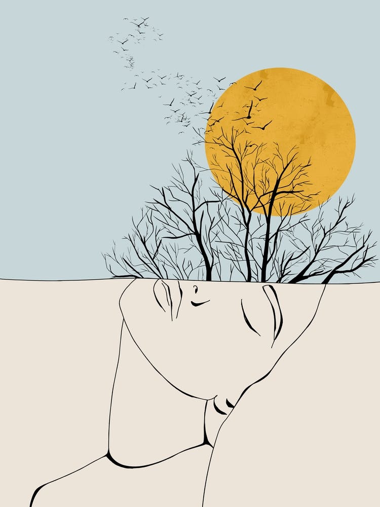 Day Dreamer