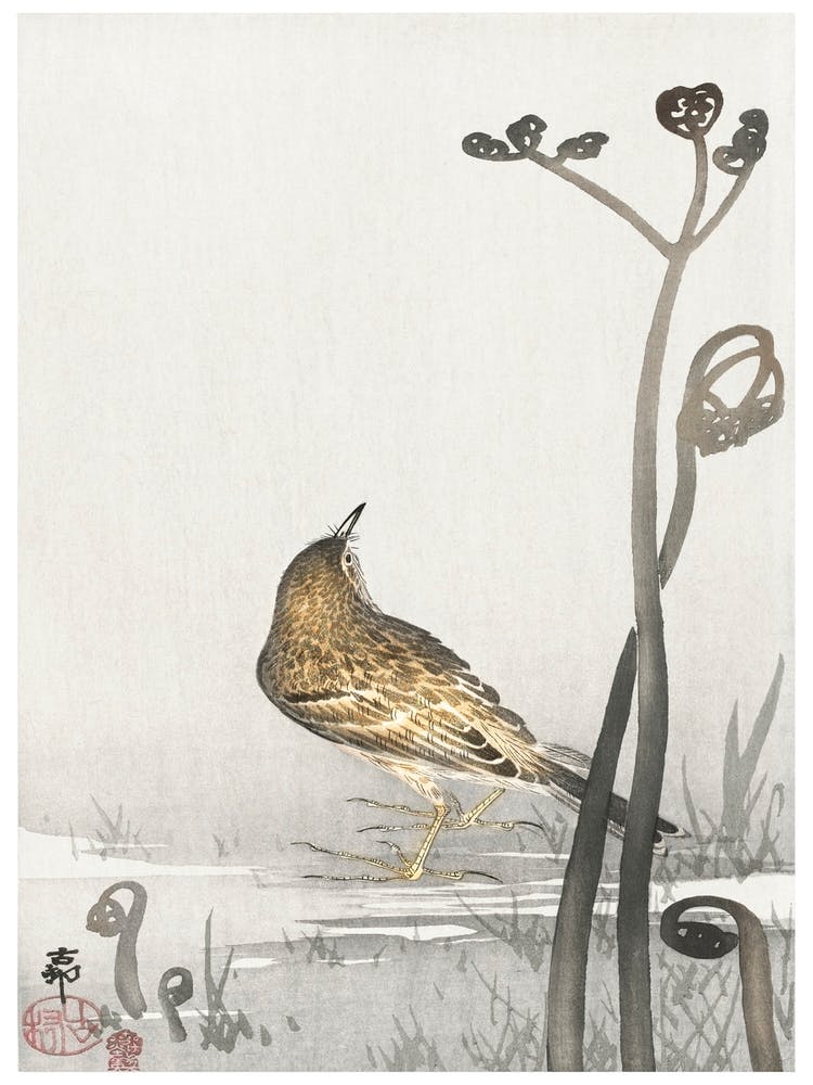Pipit On A Waterfront (1900 1910), Ohara Koson