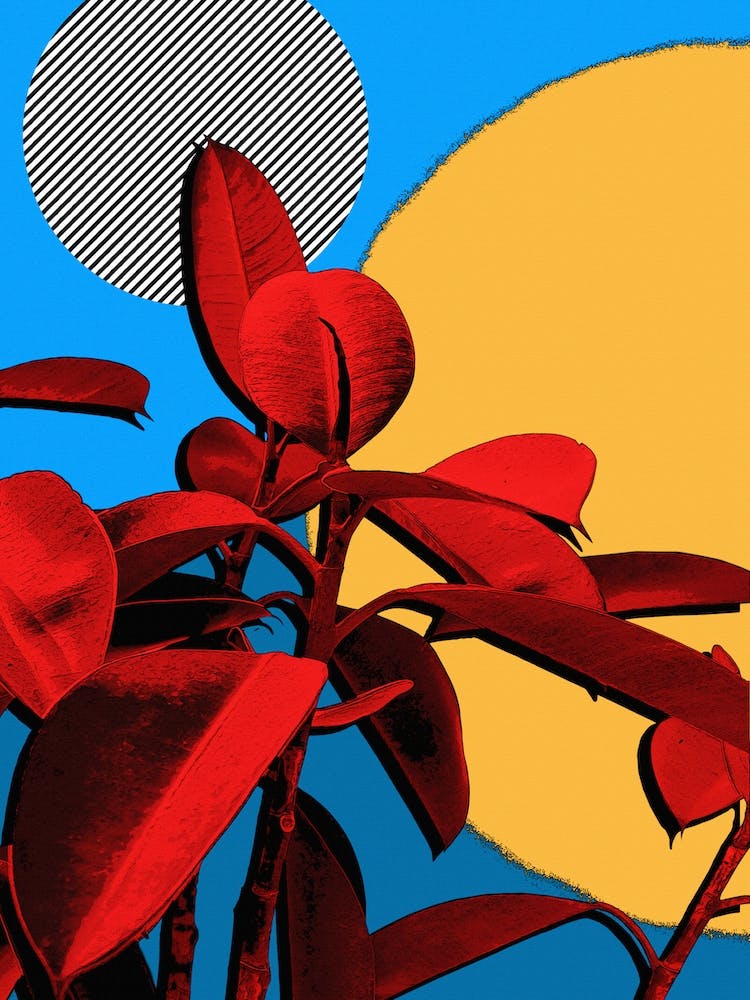 Minimal Block Colour Plant And Sun