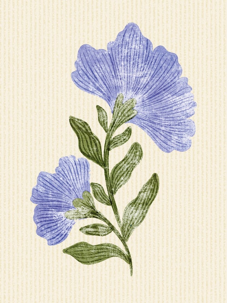 Blue Geranium