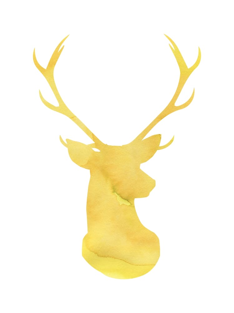 Cerf Jaune